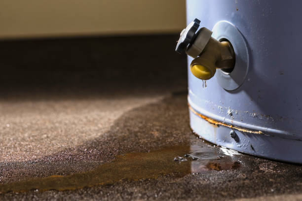 Best Water damage restoration company  in Bylas, AZ