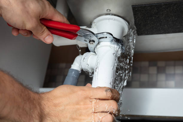 Best Flooded house restoration  in Bylas, AZ