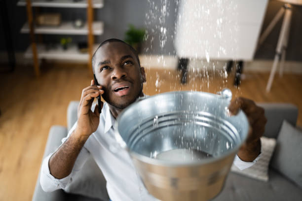Best Ceiling water damage repair  in Bylas, AZ