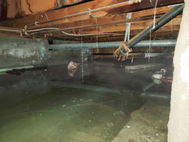 Best Residential water damage restoration  in Bylas, AZ