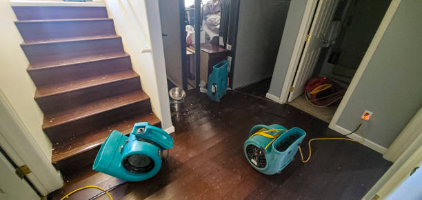 Best Water damage restoration near me  in Bylas, AZ
