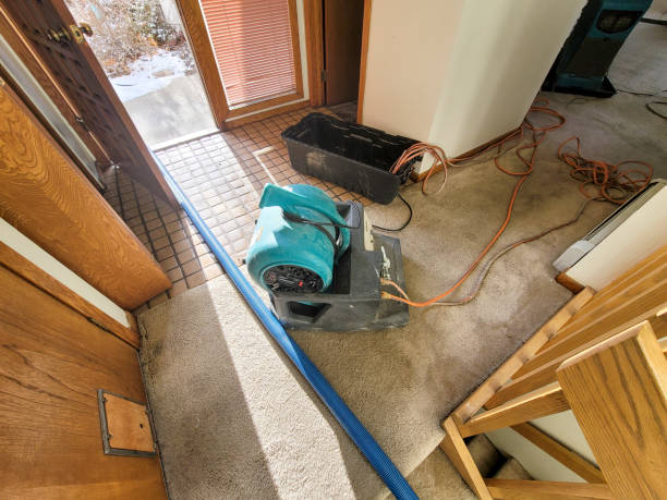 Best Carpet water damage restoration  in Bylas, AZ