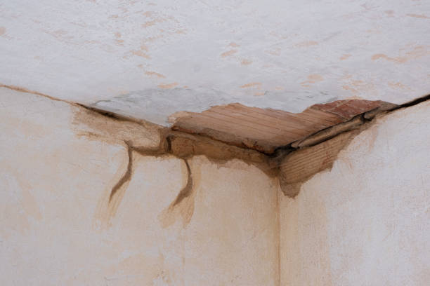 Best Ceiling water damage repair  in Bylas, AZ