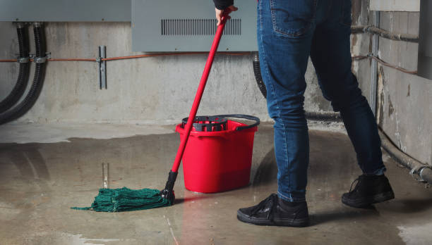 Best Mold removal after water damage  in Bylas, AZ