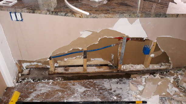 Best Flooded house restoration  in Bylas, AZ