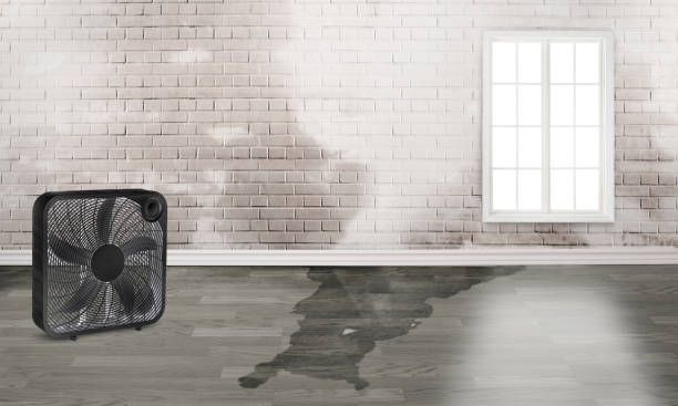 Best 24/7 water damage repair  in Bylas, AZ