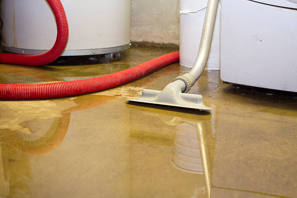 Sewage cleanup and water damage restoration in Bylas, AZ