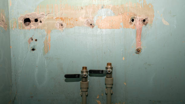 Reliable Bylas, AZ Water damage restoration Solutions