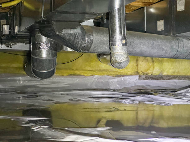 Best Sewage cleanup and water damage restoration  in Bylas, AZ