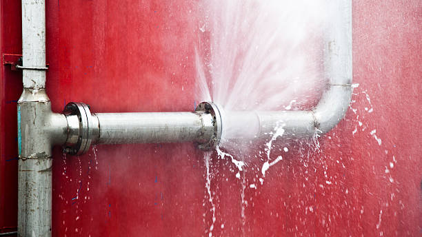 Best Local water damage restoration  in Bylas, AZ